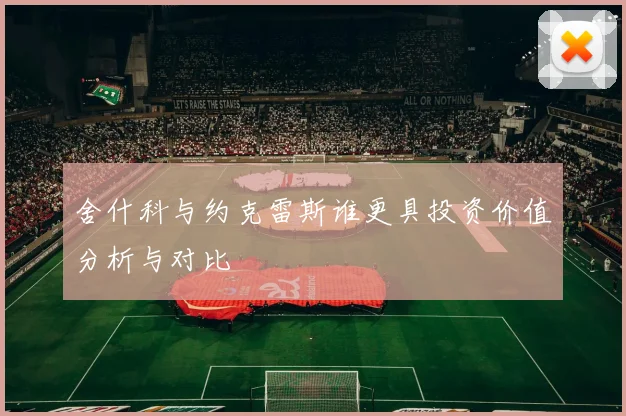 舍什科与约克雷斯谁更具投资价值分析与对比