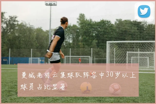曼城老将云集球队阵容中30岁以上球员占比显著