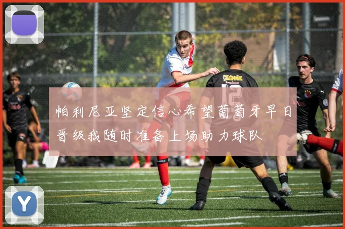 帕利尼亚坚定信心希望葡萄牙早日晋级我随时准备上场助力球队