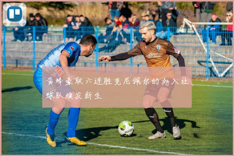 黄蜂豪取六连胜克尼佩尔的加入让球队焕发新生