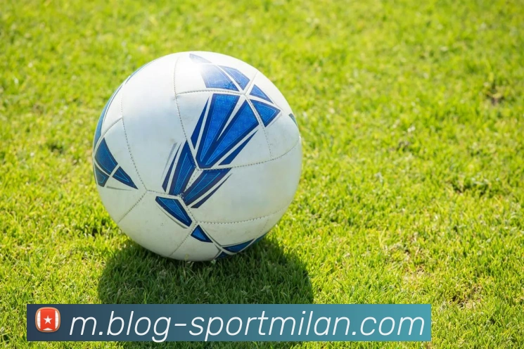 米兰体育服务体系