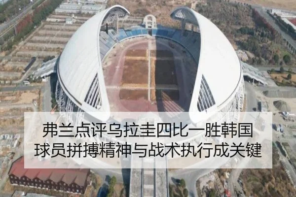 弗兰点评乌拉圭四比一胜韩国 球员拼搏精神与战术执行成关键 | MILANSPORT